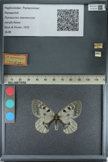Media type: image;   Entomology 180108